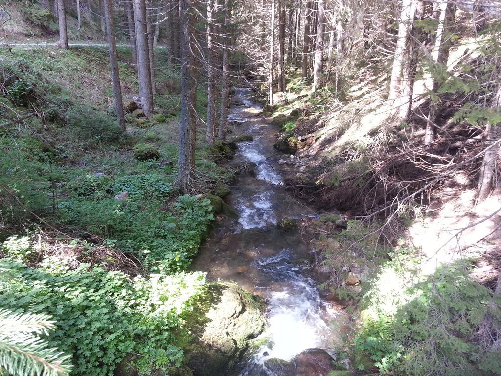Апартаменти Малина Pamporovo Dış mekan fotoğraf